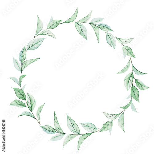 Round frame made of twigs of the Ruscus plant  painted in watercolor. Watercolor drawing of plants  isolated on white background  copy space. Simple floral wreath.