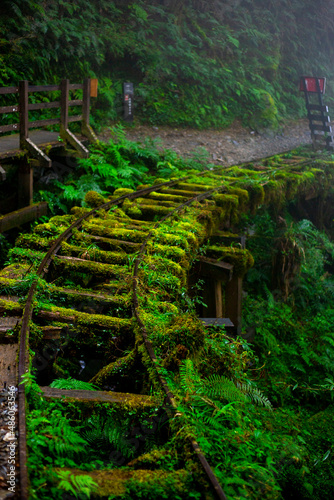 Taiwan  Yilan County  Taiping Mountain  Jianqing Old Road  famous  tourist attraction