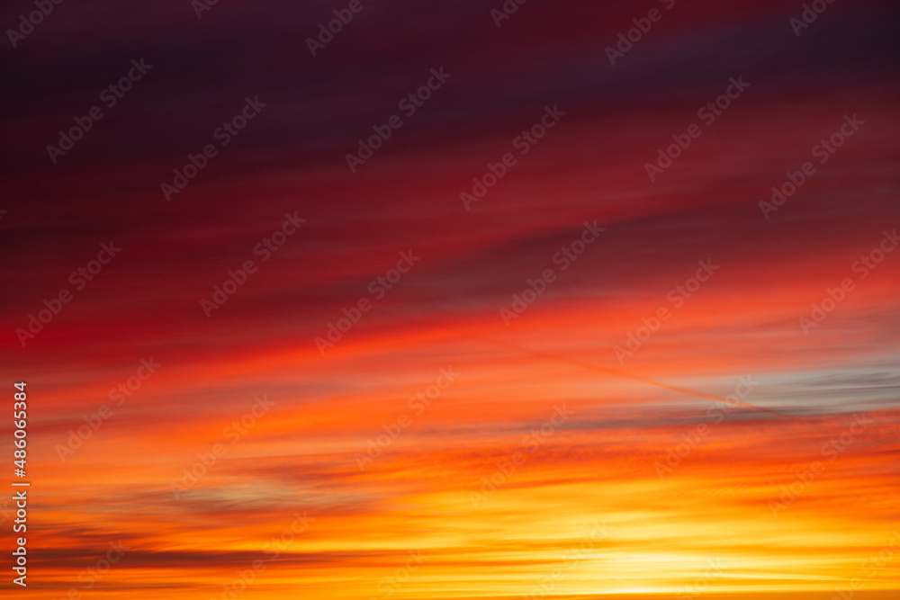 Sunset over the forest, red, yellow, purple cloud