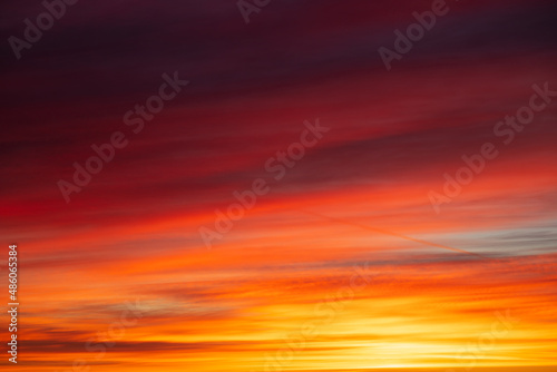 Sunset over the forest, red, yellow, purple cloud © SVETLANA