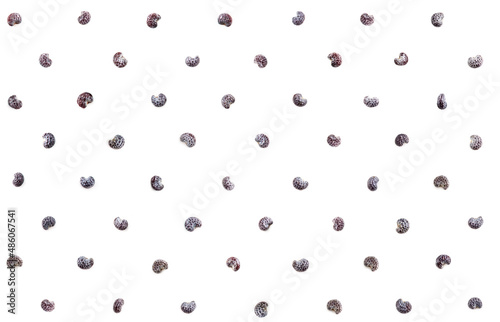 Poppy seeds isolated on white seamless pattern. Extreme close-up