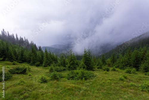 Mountains, fields and meadow are covered with morning fog and dew. Wallpaper background. Touristic resort Carpathian national park, Ukraine Europe. Spring landscape.