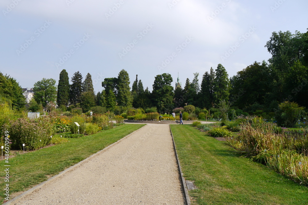 Botanischer Garten in Bonn