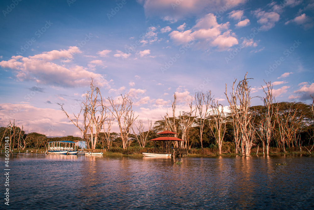View of boats moored to the wooden pier with gazebo at the shore of Lake Naivasha, Kenya, surrounded by bare trees raising from the ground of the lake