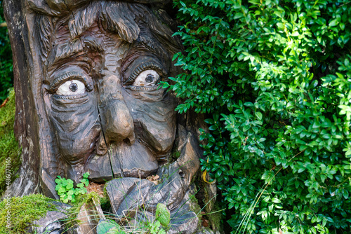 The sculpture carved from a tree growing in the park looks like a human face with large eyes and old sagging cheeks