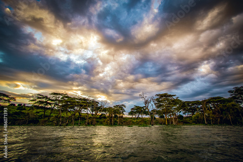 The unnatural-looking, dramatic sky and dead, bare trees rising from the waters of Lake Naivasha, Kenya, create an atmosphere that is second to none