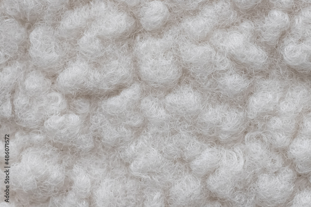 White soft wool texture background, cotton wool, sheep wool, close-up texture of white fluffy fur, wool with a beige tint, light curls. Wallpaper macro White soft wool texture background, cotton wool, sheep wool, close-up texture of white fluffy fur, wool with a beige tint, light curls. Wallpaper macro