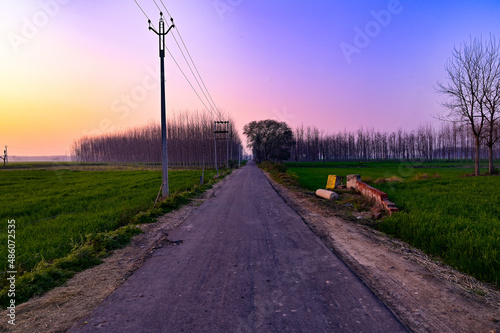 An aerial shot of a farm in winter in Ludhiana, India photo