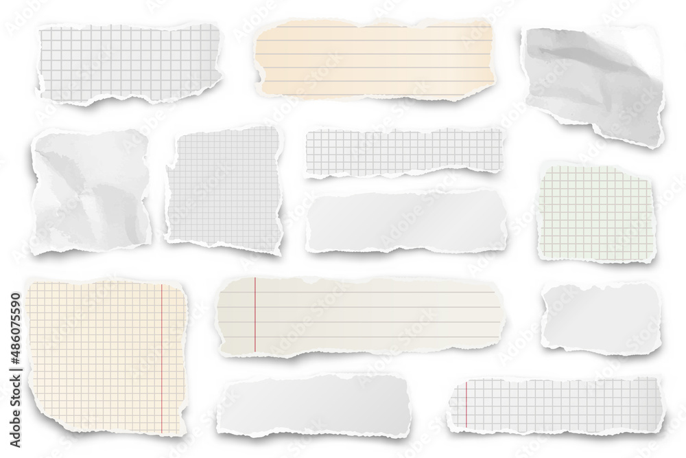 Ripped paper strips. Realistic crumpled paper scraps with torn edges. Shreds of notebook pages. Vector illustration.