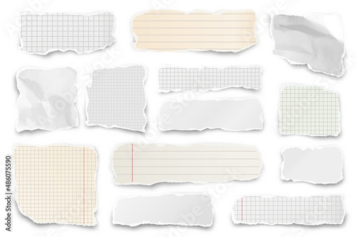Ripped paper strips. Realistic crumpled paper scraps with torn edges. Shreds of notebook pages. Vector illustration.