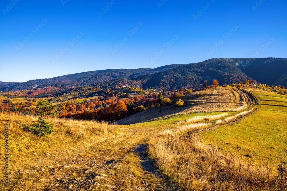 Ground road runs along wooden fence near trees in highland Ground road runs along wooden fence near trees in highland