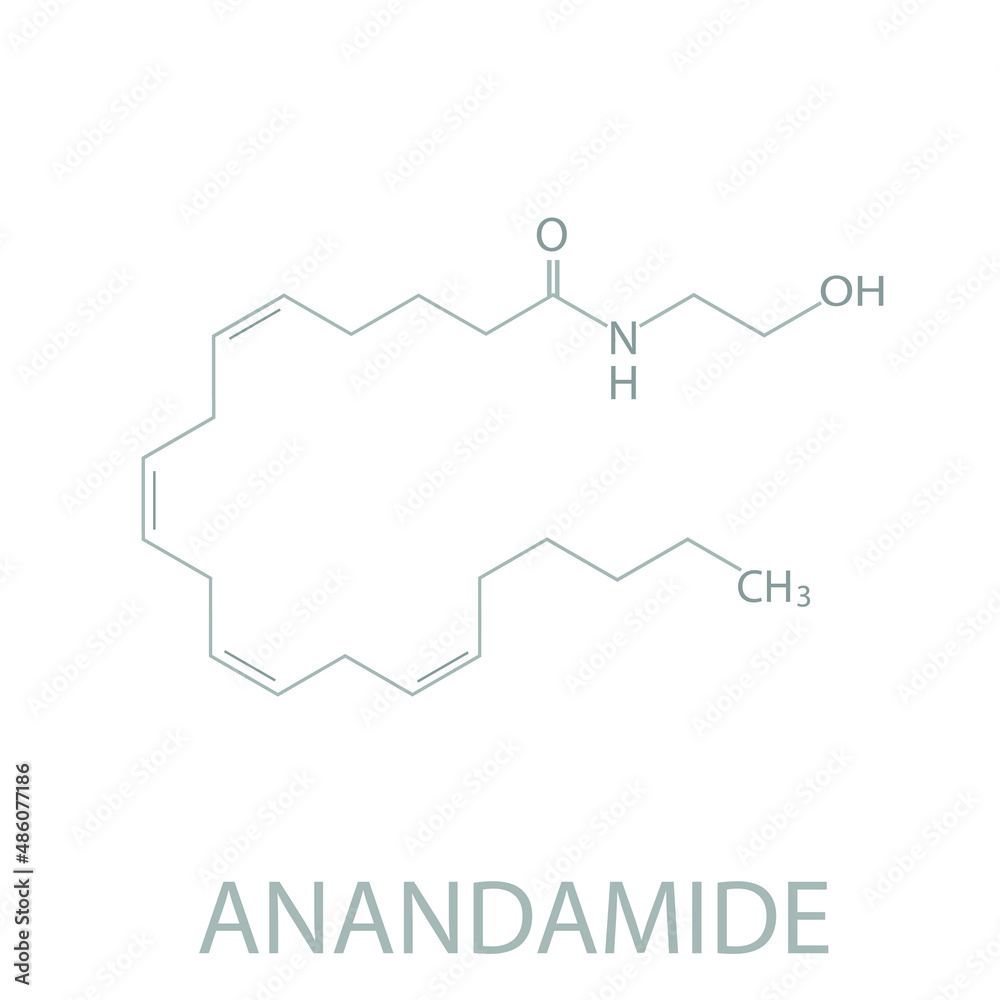 Anandamide molecular skeletal chemical formula. Anandamide molecular skeletal chemical formula.