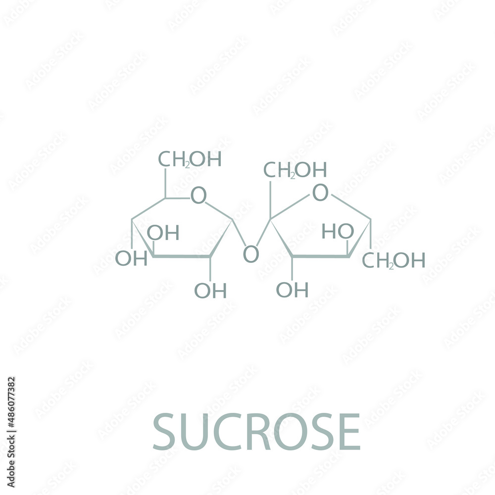 Sucrose molecular skeletal chemical formula. Sucrose molecular skeletal chemical formula.