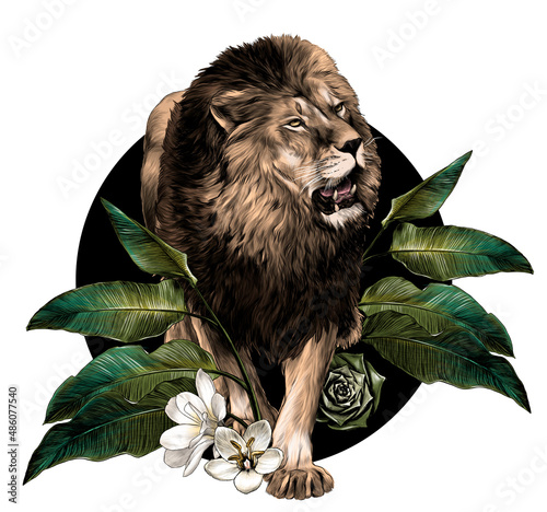 full-length lion walking on background composition of tropical plant leaves and flowers, sketch vector graphics color illustration on white background photo