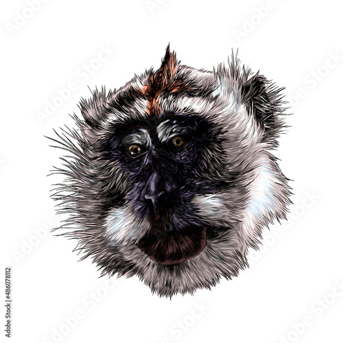 monkey head looks slightly sideways with downcast eyes, sketch vector illustration in graphic style on white background