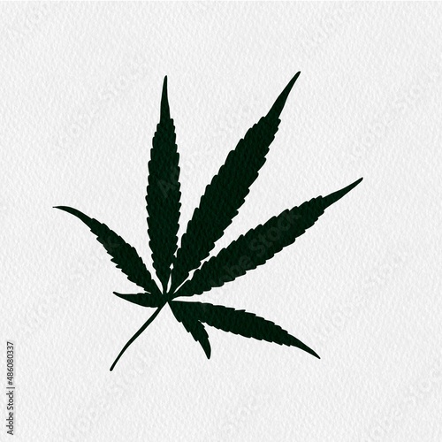 cannabis leaf vector illustration