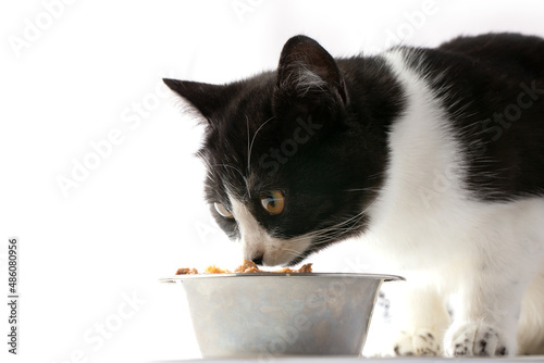 A black and white cat eats or sniffs food in an iron bowl.