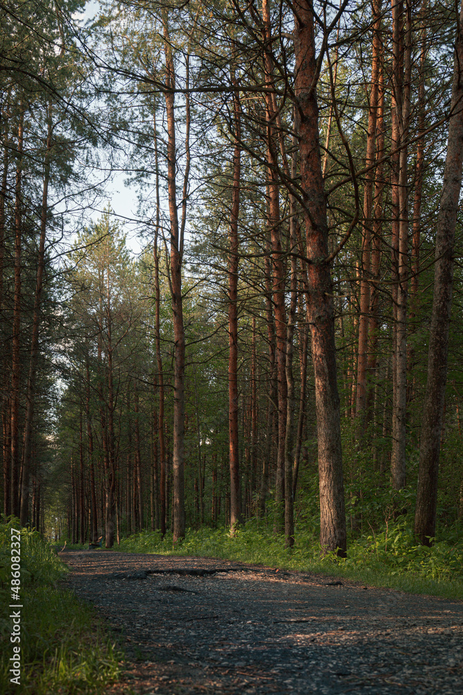 Fototapeta premium Deserted park in early summer.