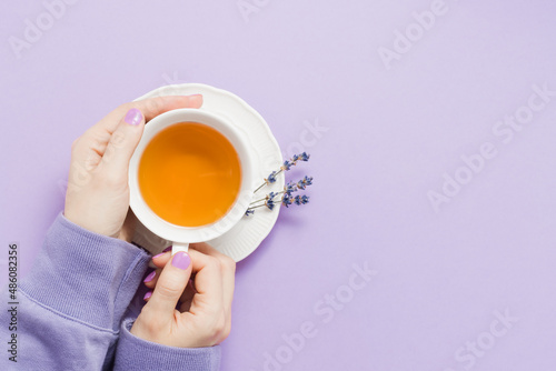 Female hands hold cup of tea with lavender on purple background, copy space, top view