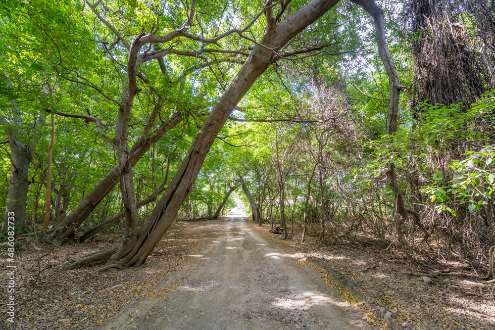 views around the Caribbean island of Curacao views around the Caribbean island of Curacao