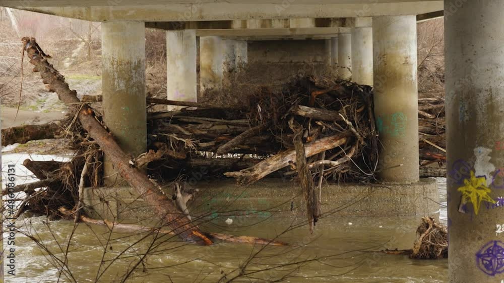 A blockage of logs and branches brought by the river during the flood under the road bridge. Concrete bridge supports with rough logs. Muddy river during the winter flood A blockage of logs and branches brought by the river during the flood under the road bridge. Concrete bridge supports with rough logs. Muddy river during the winter flood