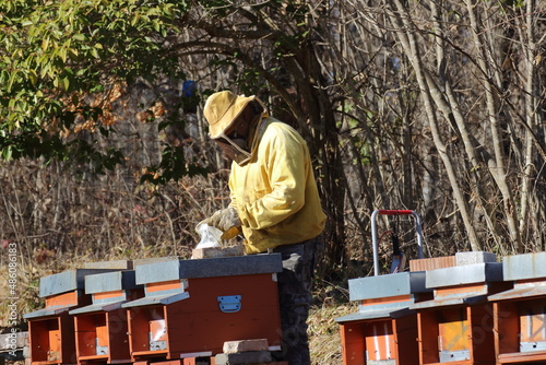 beekeeper honey production sassoguidano nature reserve pavullo medieval buildings in frignano modena photo