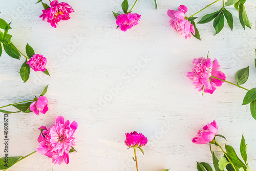 Fototapeta Naklejka Na Ścianę i Meble -  Frame of pink peonies on white paint wooden background; space for text