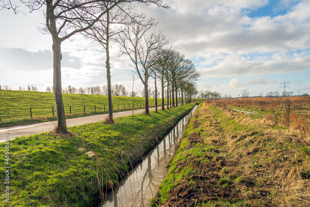 Backlit shot of a colorful Dutch polder landscape with a dike, trees and a ditch. The photo was taken on a cloudy winter day near the city of Dordrecht, province of South Holland.