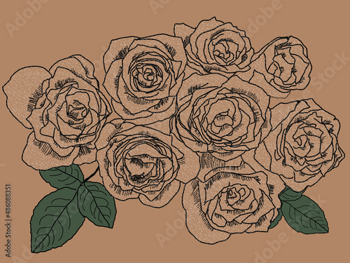 バラの花オレンジ背景