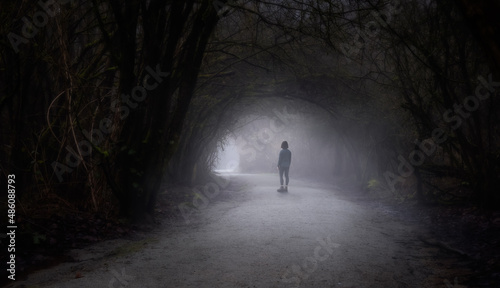 Path in the Canadian rain forest with green trees. Woman Standing Adventure Composite. Early morning fog in winter season. Tynehead Park in Surrey, Vancouver, British Columbia, Canada.