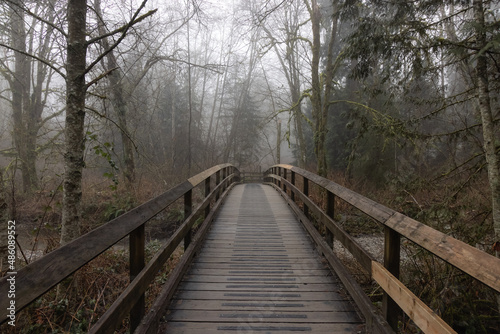 Path in the Canadian rain forest with green trees. Early morning fog in winter season. Tynehead Park in Surrey, Vancouver, British Columbia, Canada.