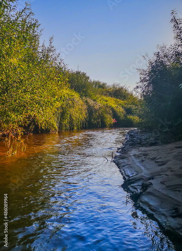 river in the forest