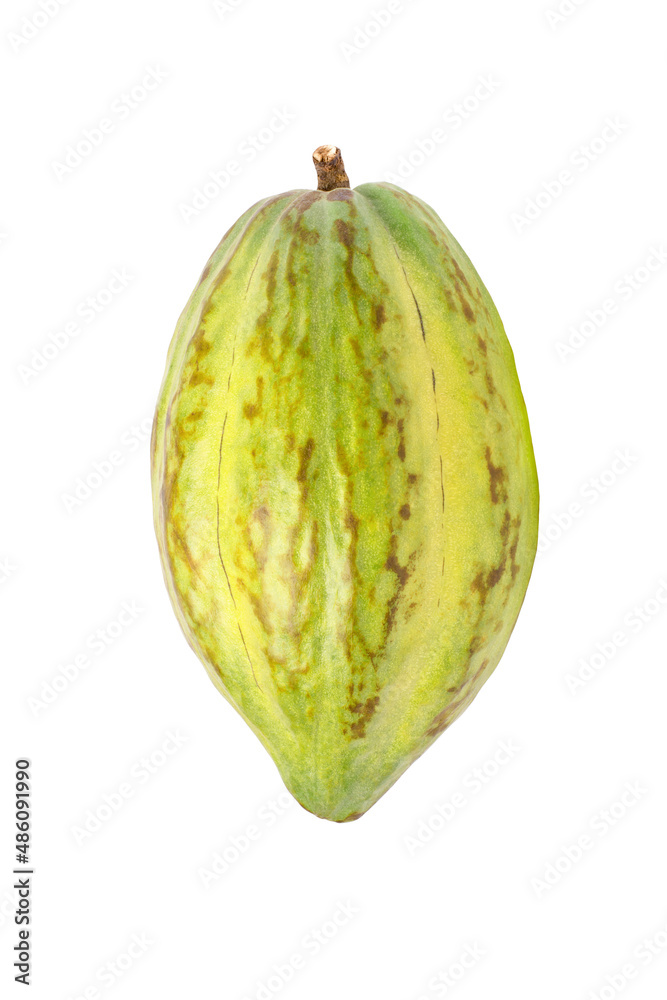 Fresh yellow cacao pods isolated on a white background Fresh yellow cacao pods isolated on a white background