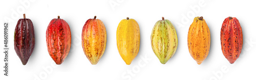 Cocoa fruits isolated on white background.