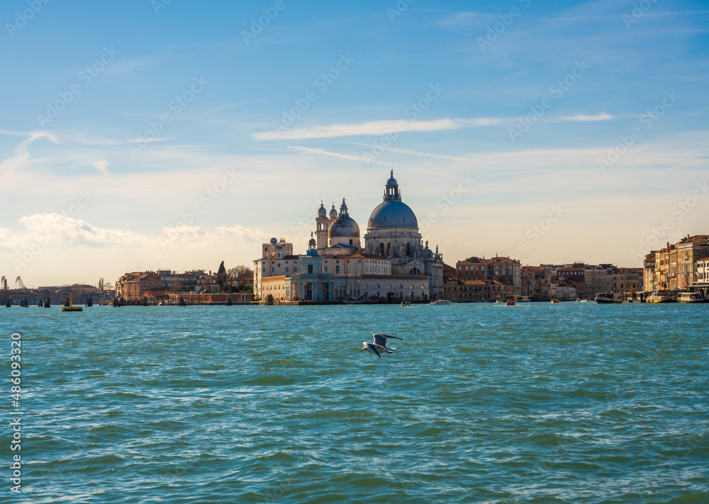 Lone seagull hovers over grand canal against backdrop of famous Roman Catholic Church Santa Maria della Salute (English: Saint Mary of Health), winrer 2020 Venice, Italy
