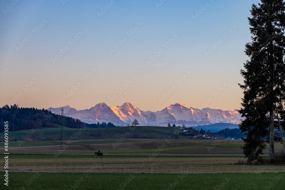 Fototapeta premium eiger möch jungfrau berneralpen majestätische berge