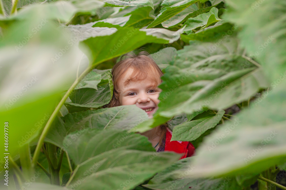 child hiding in the leaves of a plant child hiding in the leaves of a plant