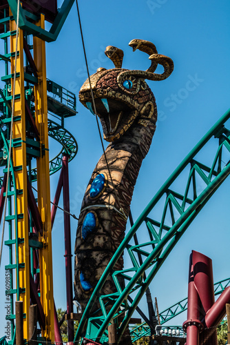 Views while walking around Busch Gardens, Tampa, Florida, United States photo