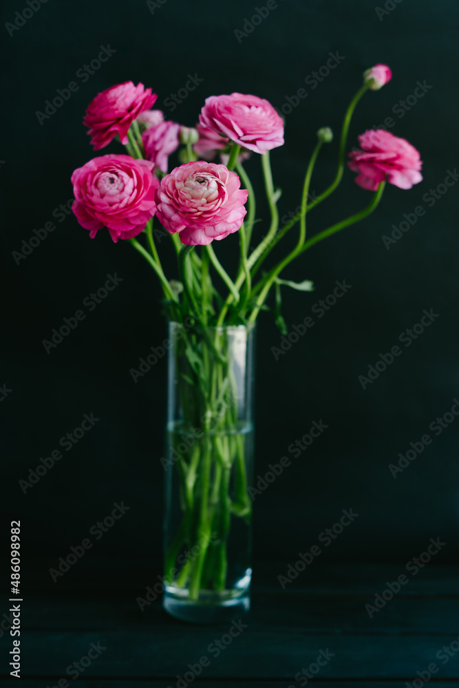 Beautiful bouquet of pink spring flowers. The ranunculi are pink on a black background. Spring bouquet for birthday, Mother's Day, March 8, Women's Day, Happy Valentine's Day. Vertical photo.