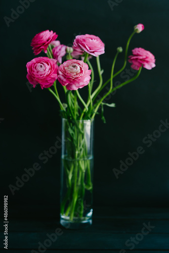 Beautiful bouquet of pink spring flowers. The ranunculi are pink on a black background. Spring bouquet for birthday, Mother's Day, March 8, Women's Day, Happy Valentine's Day. Vertical photo.