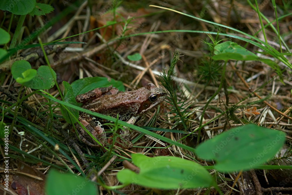 _DSC20130606B6