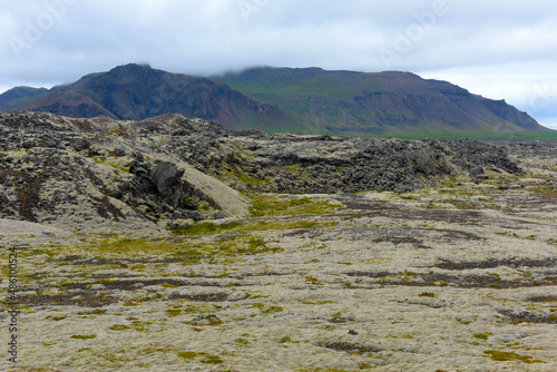 Mit verschiedenen Moosen überwachsenes Lavafeld Berserkjahraun bei Stykkisholmur photo