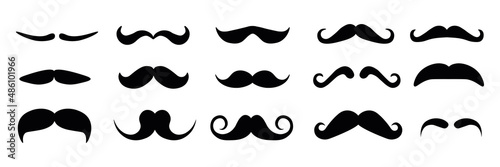 Set of moustache from different formy on white background. Vector men's accessories in flat style.