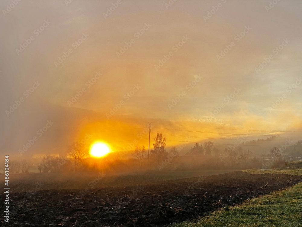 Winter sunrise through the morning fog over the fields and meadows in the Zurich suburbs - Zürich (Zuerich or Zurich), Switzerland (Schweiz)