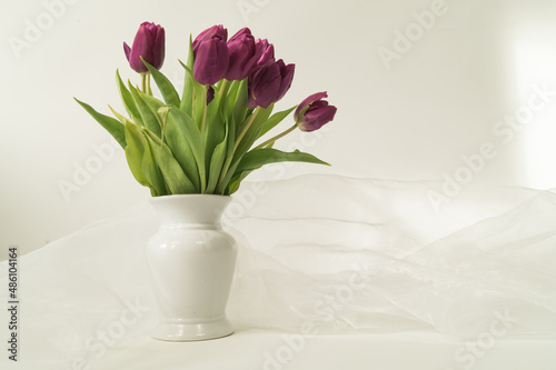 Beautiful pink tulips in white vase. Flowers on white background.