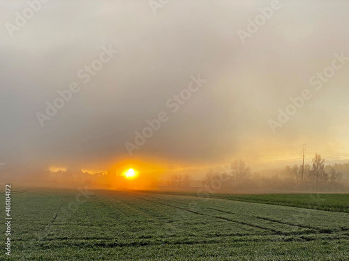 Fototapeta Naklejka Na Ścianę i Meble -  Winter sunrise through the morning fog over the fields and meadows in the Zurich suburbs - Zürich (Zuerich or Zurich), Switzerland (Schweiz)