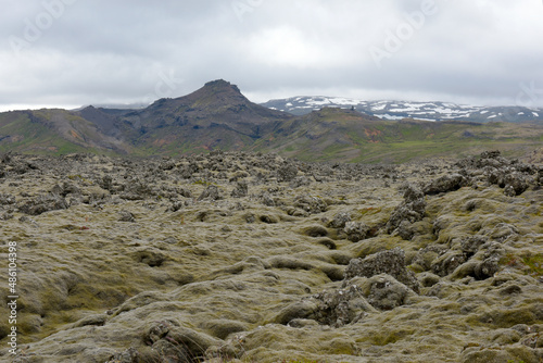 Mit verschiedenen Moosen überwachsenes Lavafeld Berserkjahraun bei Stykkisholmur photo