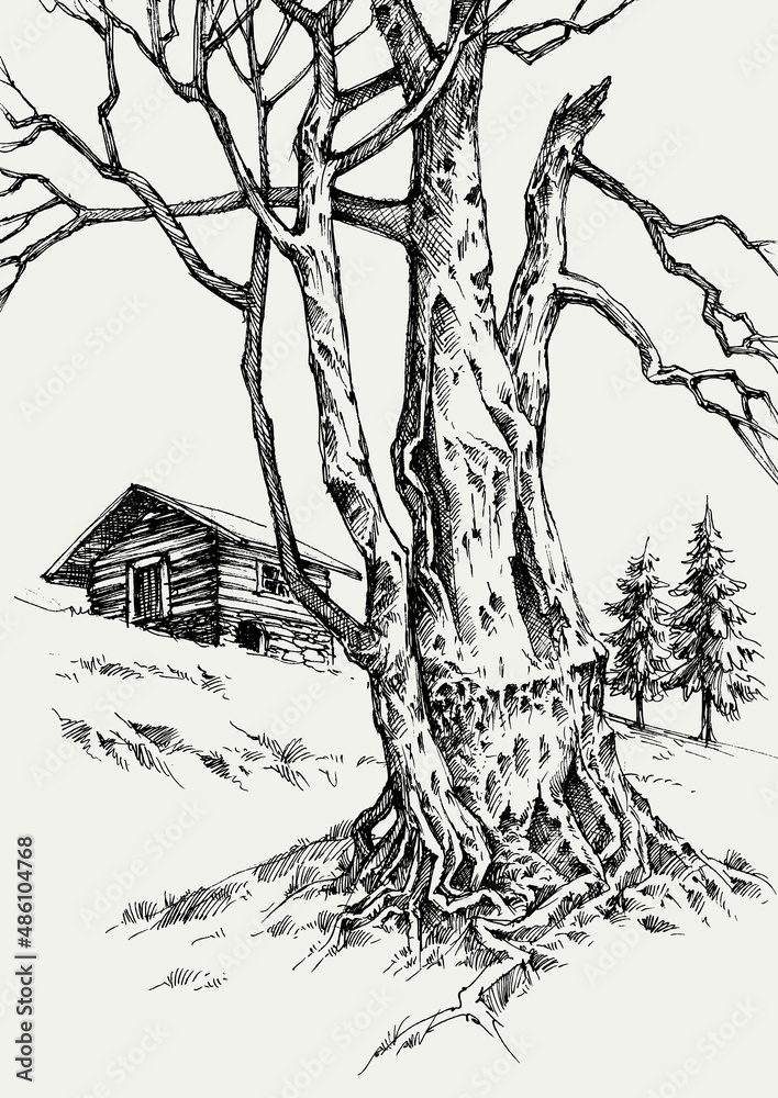 Mountain wooden hut, old tree trunk in winter. Hand drawn landscape