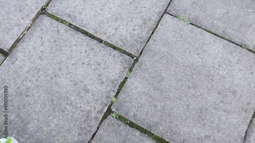 Grey textured paving with weeds growing in between the gaps