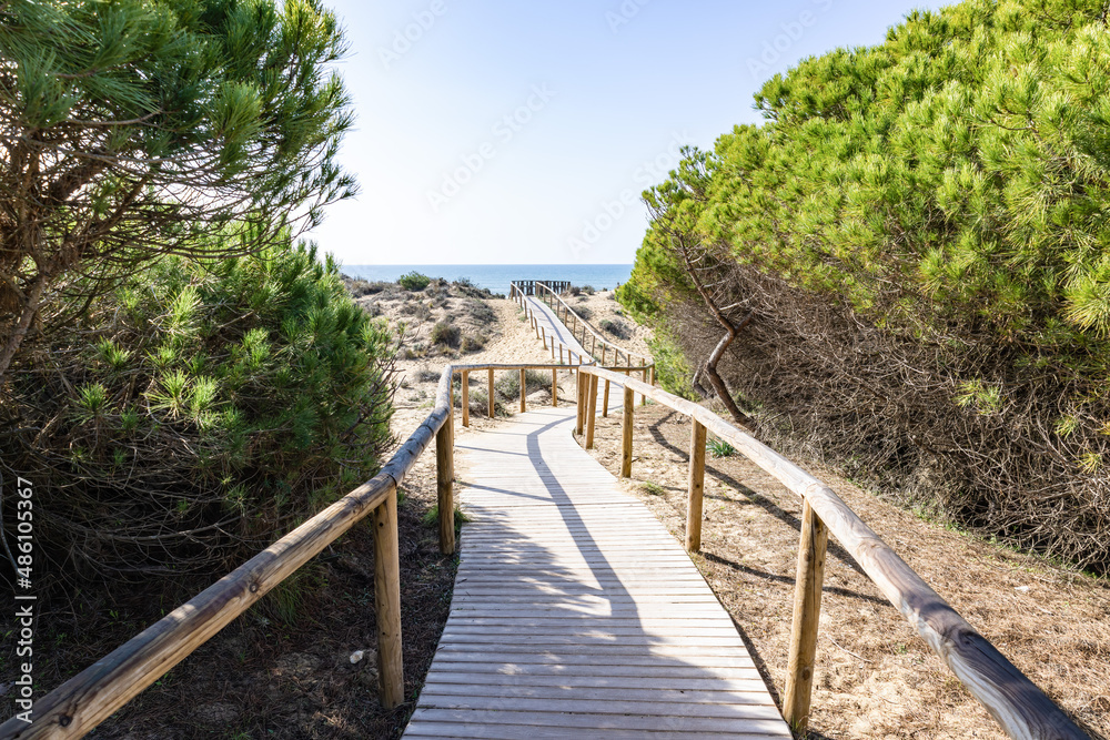 Fototapeta premium Wooden pathway over dunes and pines at beach in Punta Umbria, Huelva. Los Enebrales beach